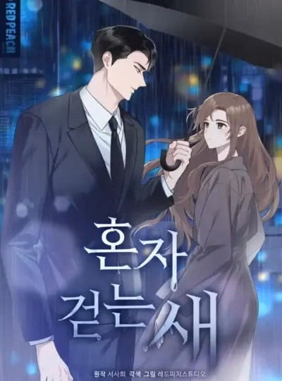 “Chú Chim Đi Một Mình”