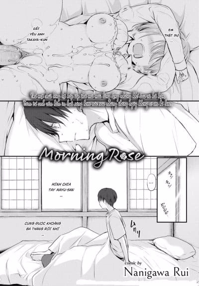 Đóa Hồng Sớm Mai!