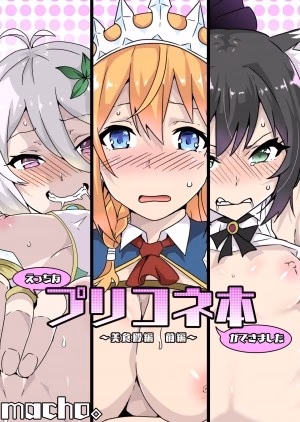 Ecchi Na Priconne Bon Ga Dekimashita