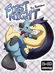 First Night (Pokemon)
