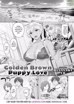 Golden Brown Puppy Love