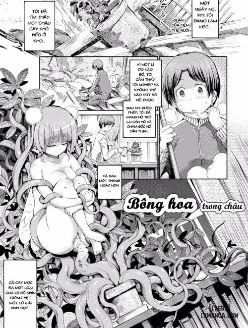 Hachi No Ue No Flower