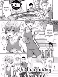 Khi Hoa Hướng Dương Nở [Himawari No Saku Koro Ni, When The Sunflowers Bloom]