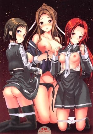 Kinki Shinpan Taboo Infringement (Sword Art Online)