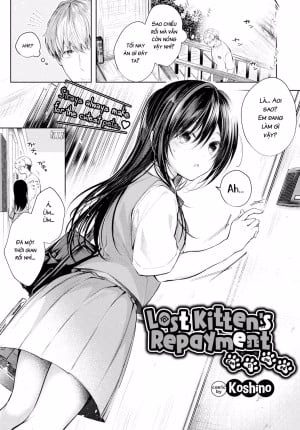 Lost Kitten’s Repayment Continued