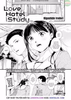 Love Hotel Study