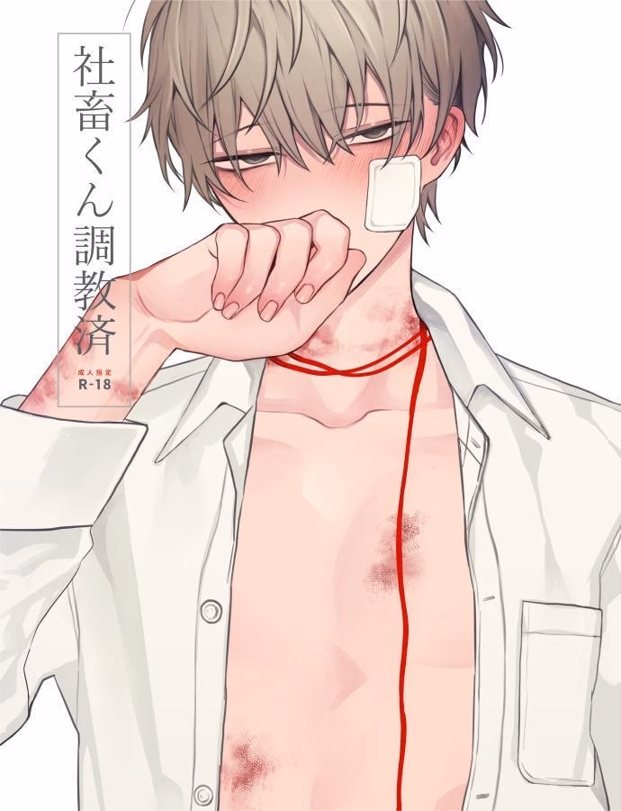 Máy Bay Không Người Lái Của Công Ty Có Kỷ Luật Đầy Đủ