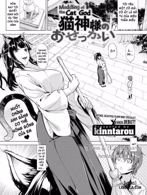 Meddling Of The Cat God