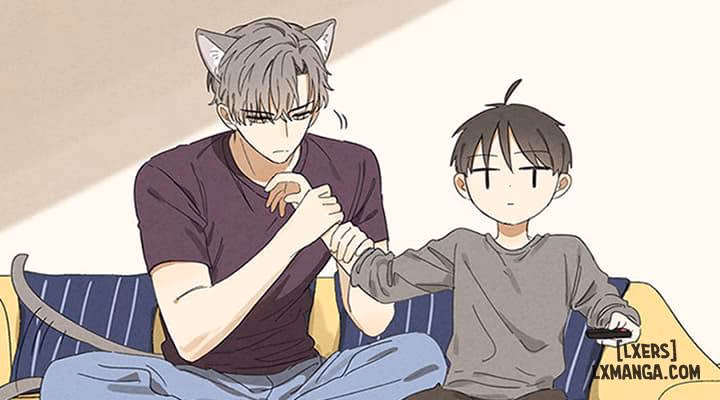 Mèo Nhà Tui Không Giống Mèo