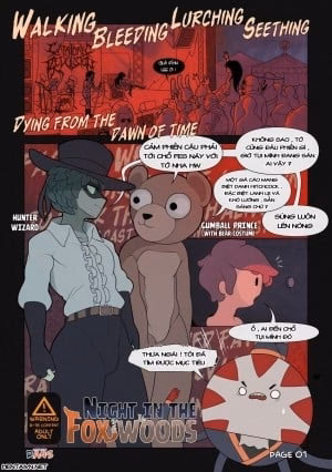 Night In The Fox Woods