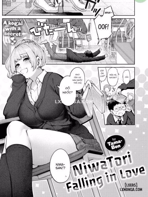 Niwatori Falling In Love