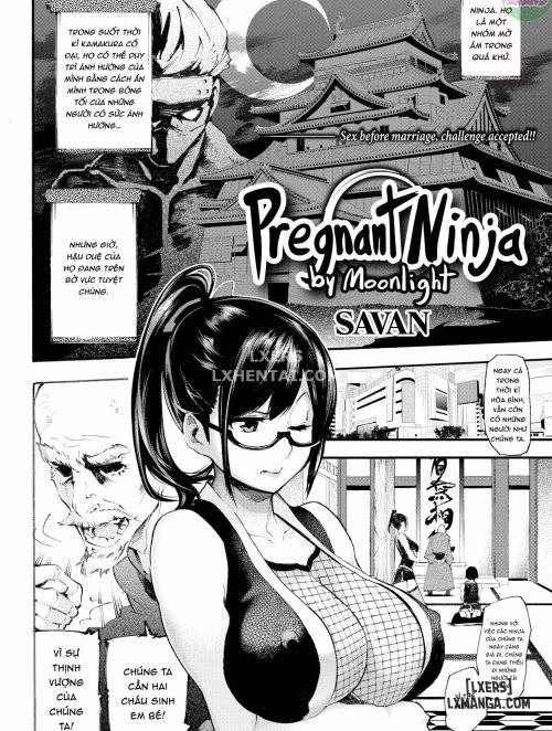 Pregnant Ninja By Moonlight