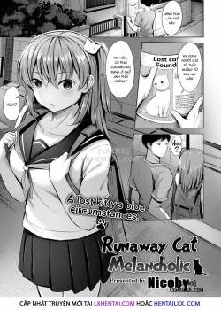 Runaway Cat Melancholic