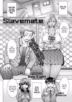 Slavemate