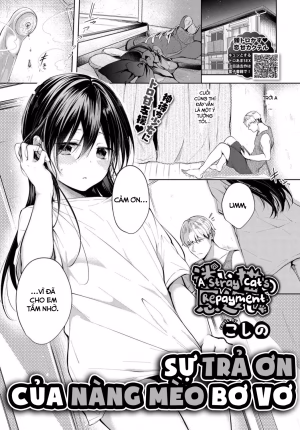 Sự Trả Ơn Của Nàng Mèo Bơ Vơ