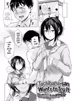 Tachibana-San Wants To Try It