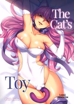 The Cat’s Toy