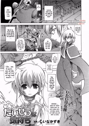 The Important Feeling