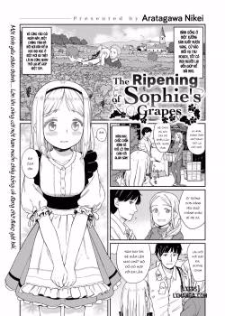 The Ripening Of Sophie’s Grapes