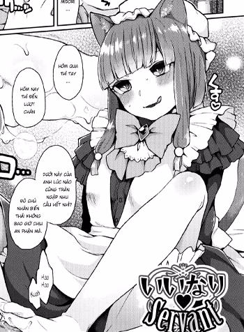 Thụ Thai Em Mèo Hầu Nữ Hứng Tình