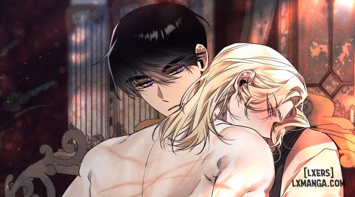 Vườn Hoa Oải Hương Nở