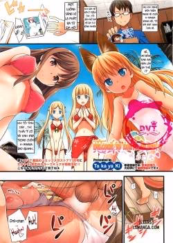 Welcome To Koiito Island