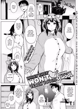 What They Don’t Teach You In School