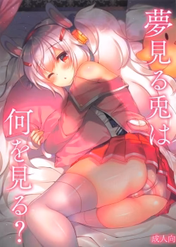 Yumemiru Usagi Wa Nani O Miru